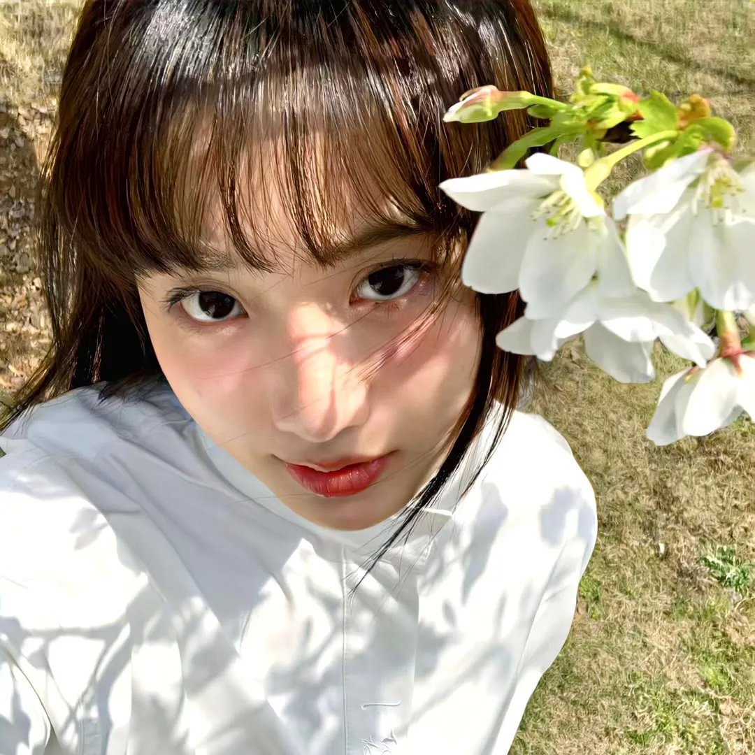 宋秘书又辞职了